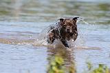 STAFFIE 158